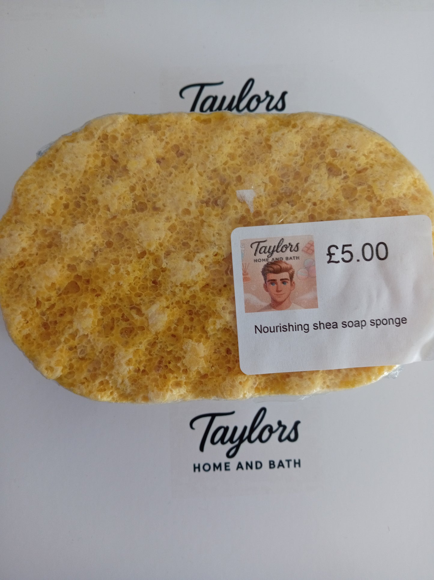 Soap Sponge