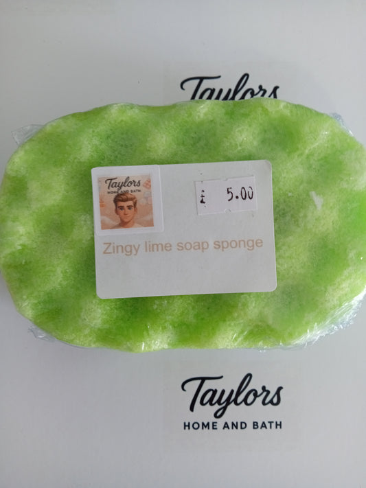 Soap Sponge