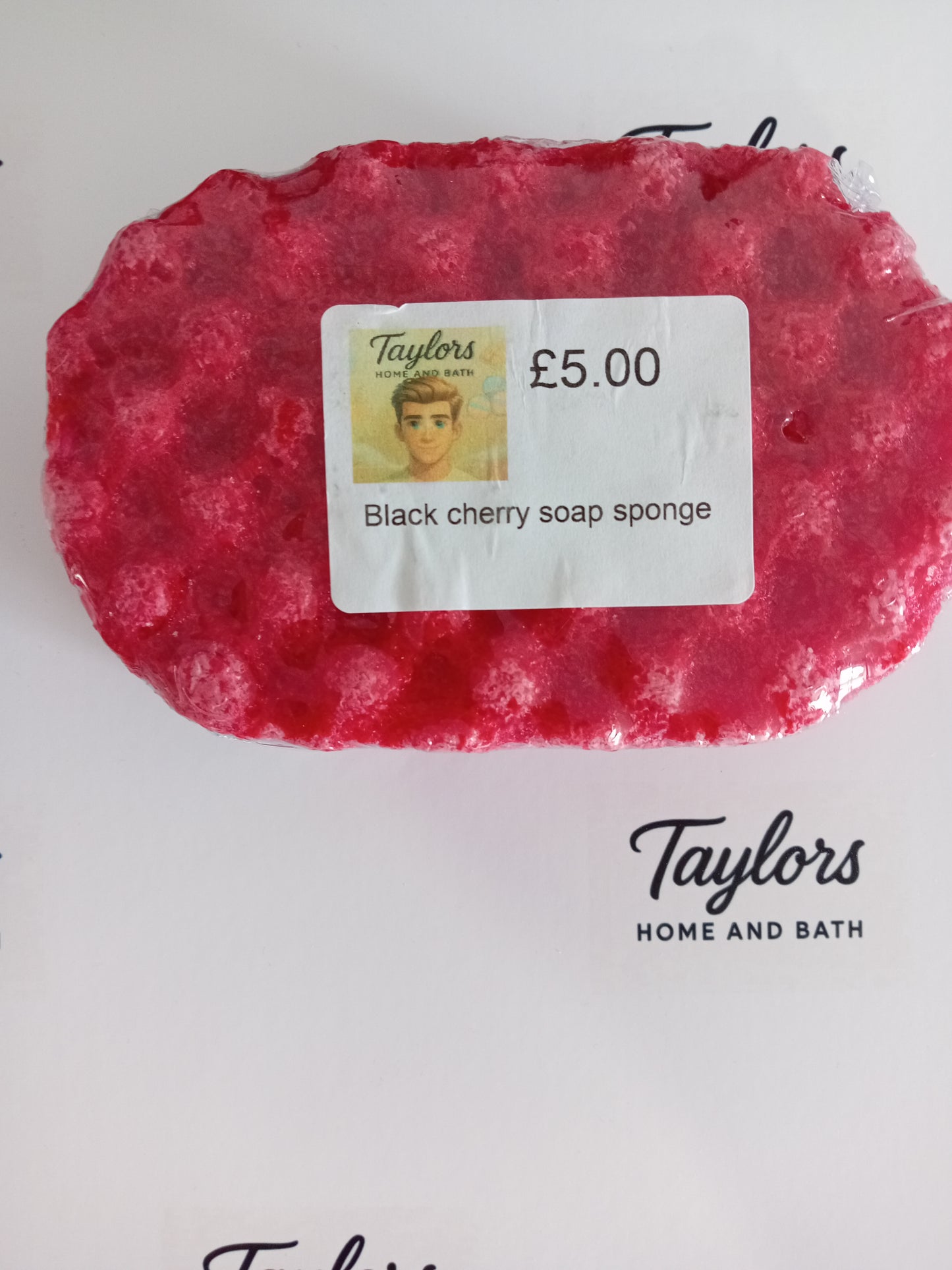 Soap Sponge